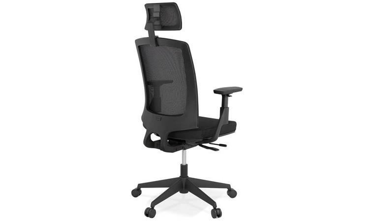 Fauteuil de bureau ergonomique ERWAN - Noir - Delex Mobilier