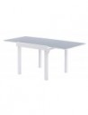 Table de jardin blanche et grise extensible
