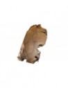 Table basse naturelle teck