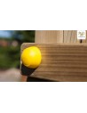 Ensemble jeu poignées toboggan Myhouse