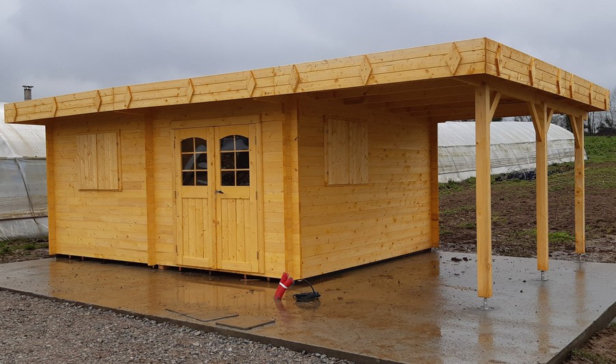 Abri jardin bois brut moderne et toiture PVC 3 M2