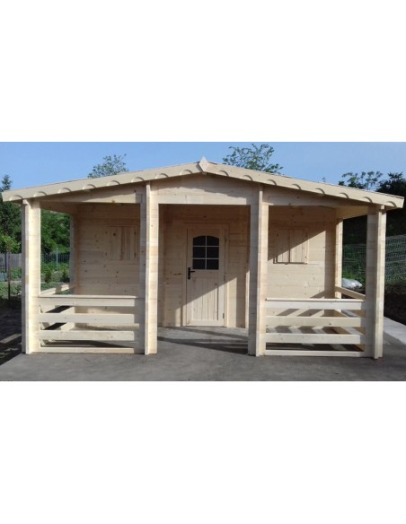 Abri jardin bois massif Taylor