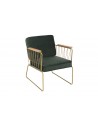 Fauteuil design velours vert foncé