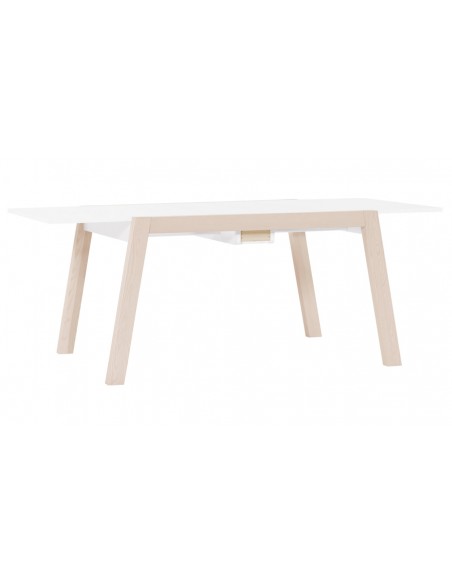 Table ensemble repas scandinave Spot