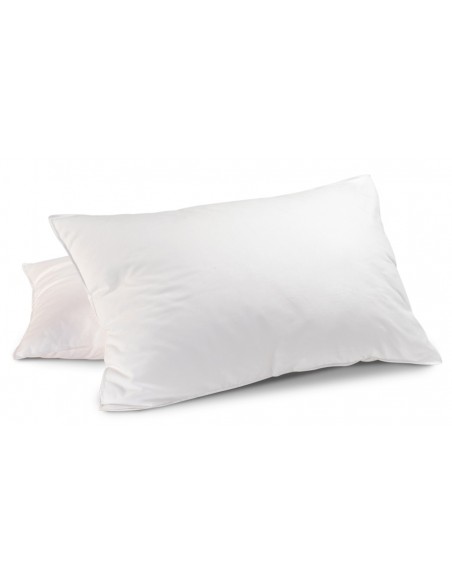 Novilla Oreiller Carrés 65x65 Lot de 2, Grand Coussin Lit Adulte, Oreillers  Rectangulaire Rafraichissant, Coussins Plume Moelleux, Plat Pillows for