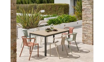 Ensemble repas boston 6 pl avec fauteuils diego panachés