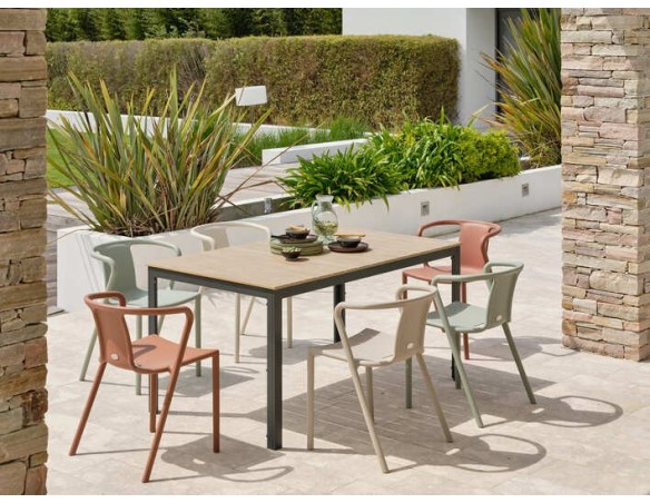 Ensemble repas boston 6 pl avec fauteuils diego panachés