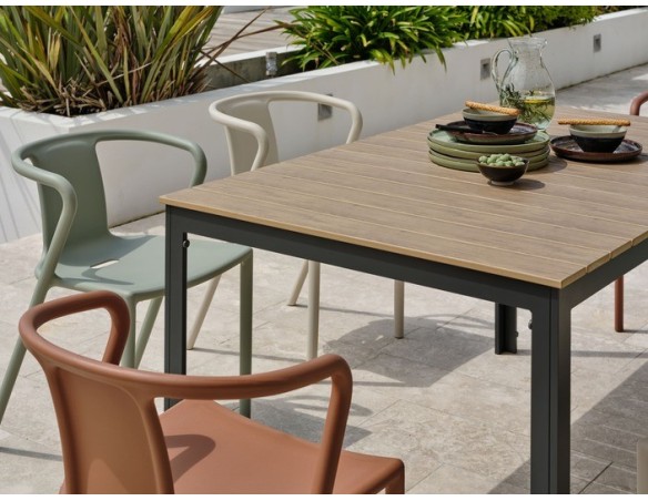 Ensemble repas boston 6 pl avec fauteuils diego panachés