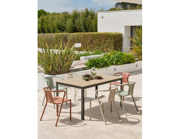 Ensemble repas boston 6 pl avec fauteuils diego panachés