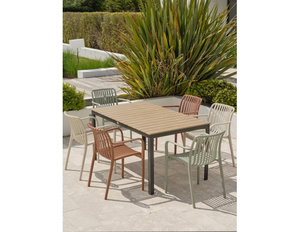 Ensemble repas boston 6 pl avec fauteuils Tiago panachés