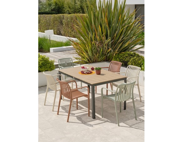 Ensemble repas boston 6 pl avec fauteuils Tiago panachés