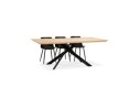 DT01110NABL 5420072069029 Table à diner avec pied central en x WALABY en bois finition naturelle - 200x100 cm