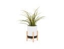 Pot de fleurs intérieur MARGERIT blanc design