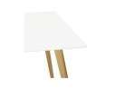 Table de cuisine rectangulaire / bureau droit CANDY blanc - 160x90 cm