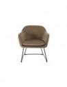 Fauteuils velours chamois