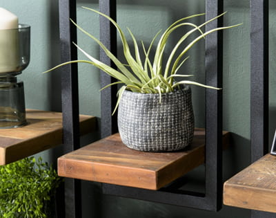 Meuble pour plantes d'intérieur : végétaliser votre déco ! - House