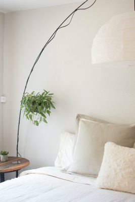 plantes vertes chambre rustique