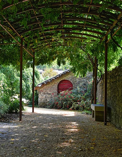 tonnelle avec plantes grimpantes