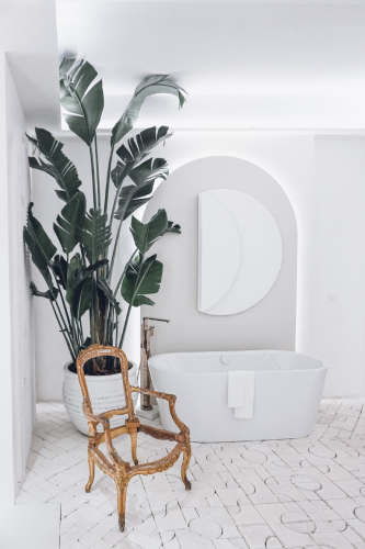 grande plante pour salle de bain cosy