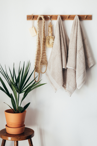 tabouret en bois avec plante